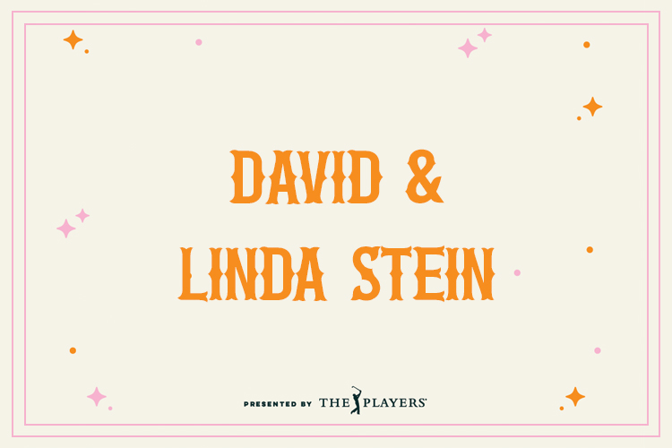 HDM Sponsor Template Stein
