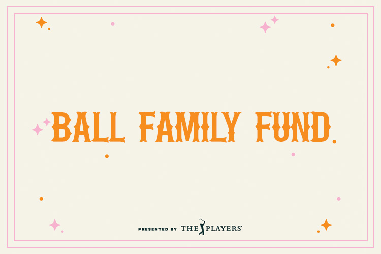 HDM Sponsorship Ball Family Fund