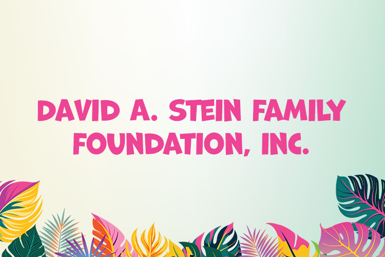 David A Stein